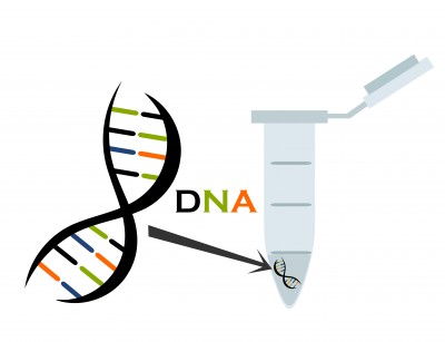 ancestry by dna