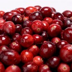 Our genealogy researcher sees cranberries in the same light as an ancestor search.