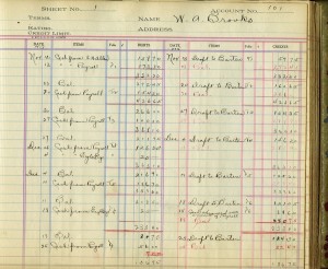 For the genealogist, a ledger may provide surprising details.