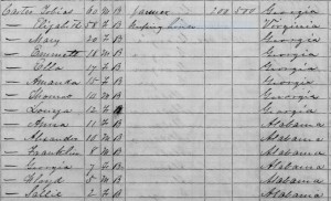 Here is the 1870 U.S. Census that lists family members of Representative John R. Lewis