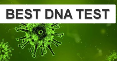 best dna test