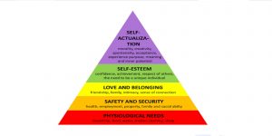 A pyramid view of genealogy benefits