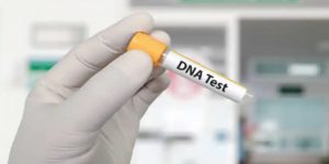 A hand showing a DNA test kit can tell help solve probate puzzles