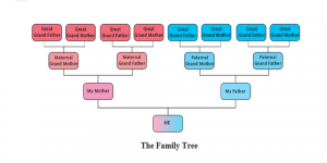 A family tree can help you uncover physical and personality traits