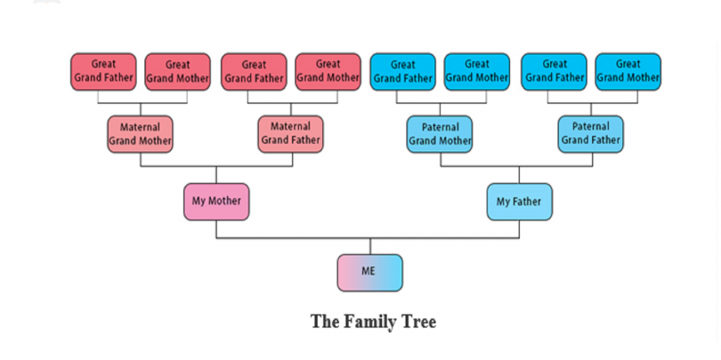 A family tree can help you uncover physical and personality traits