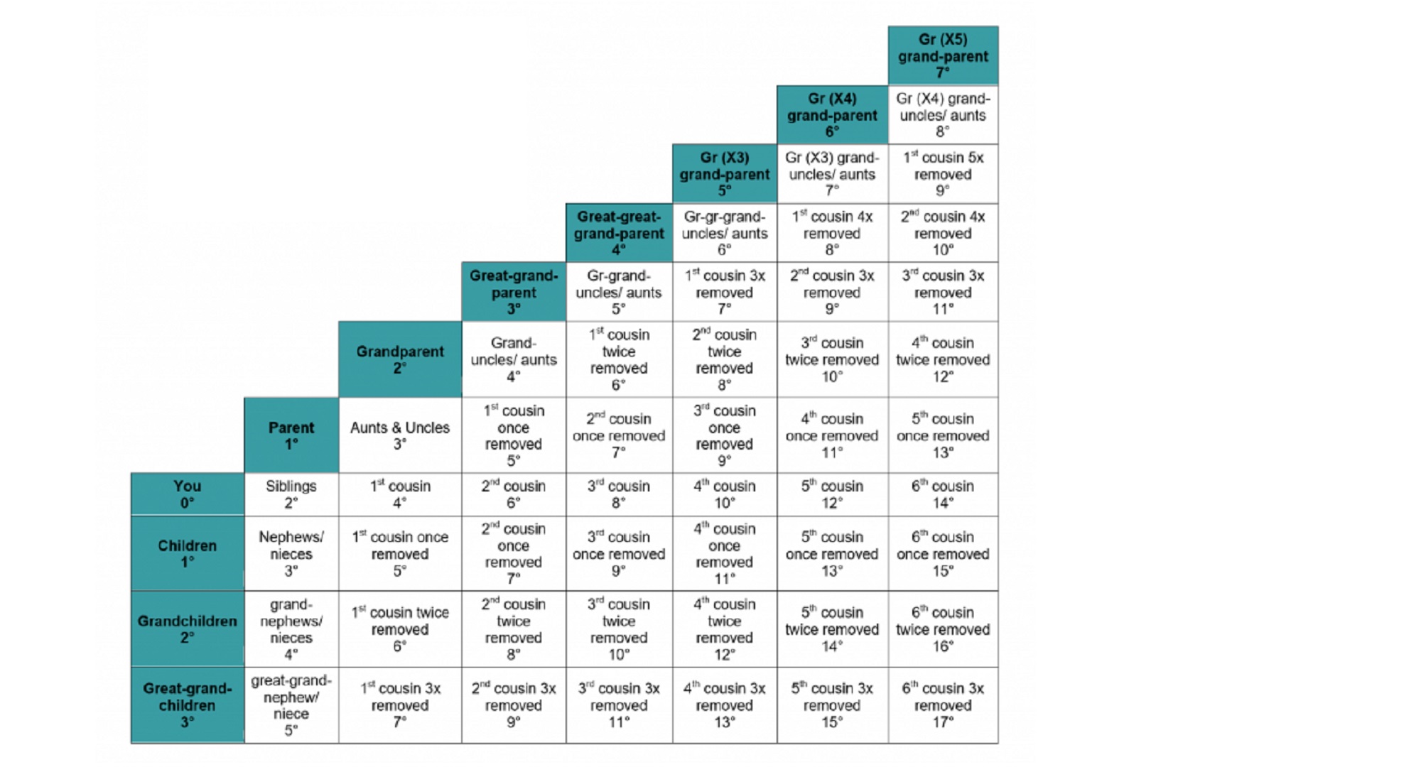 Lineal descendants chart how to determine hierarchy